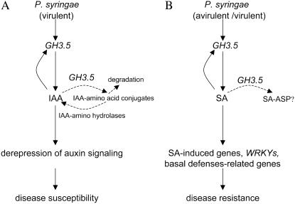 Figure 9.