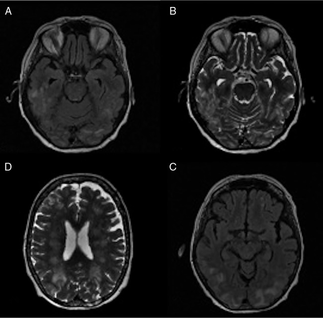 Figure 1