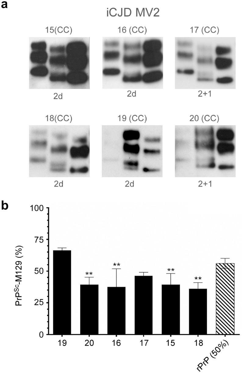 Fig 5