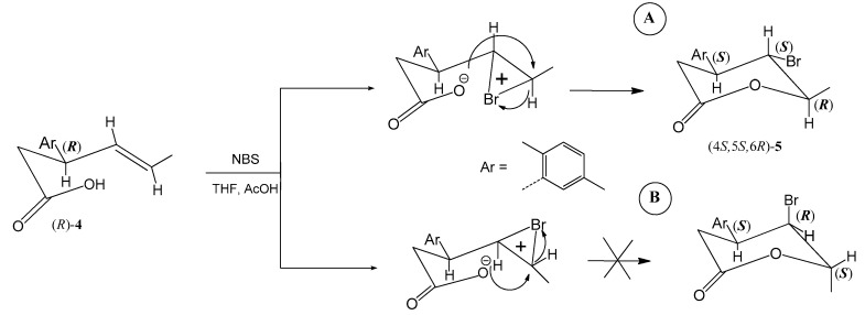 Scheme 5