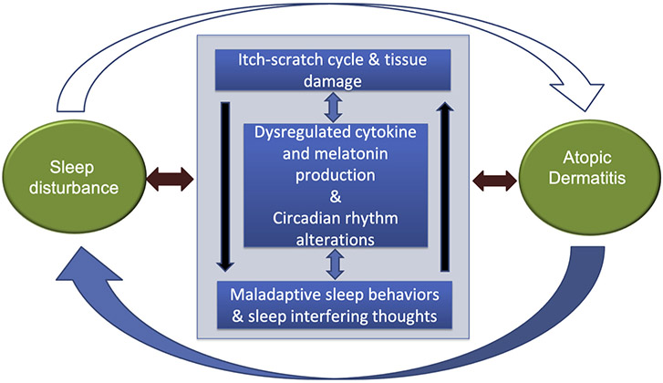 FIGURE 1.