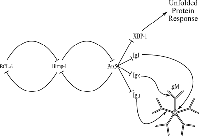 FIG. 1.