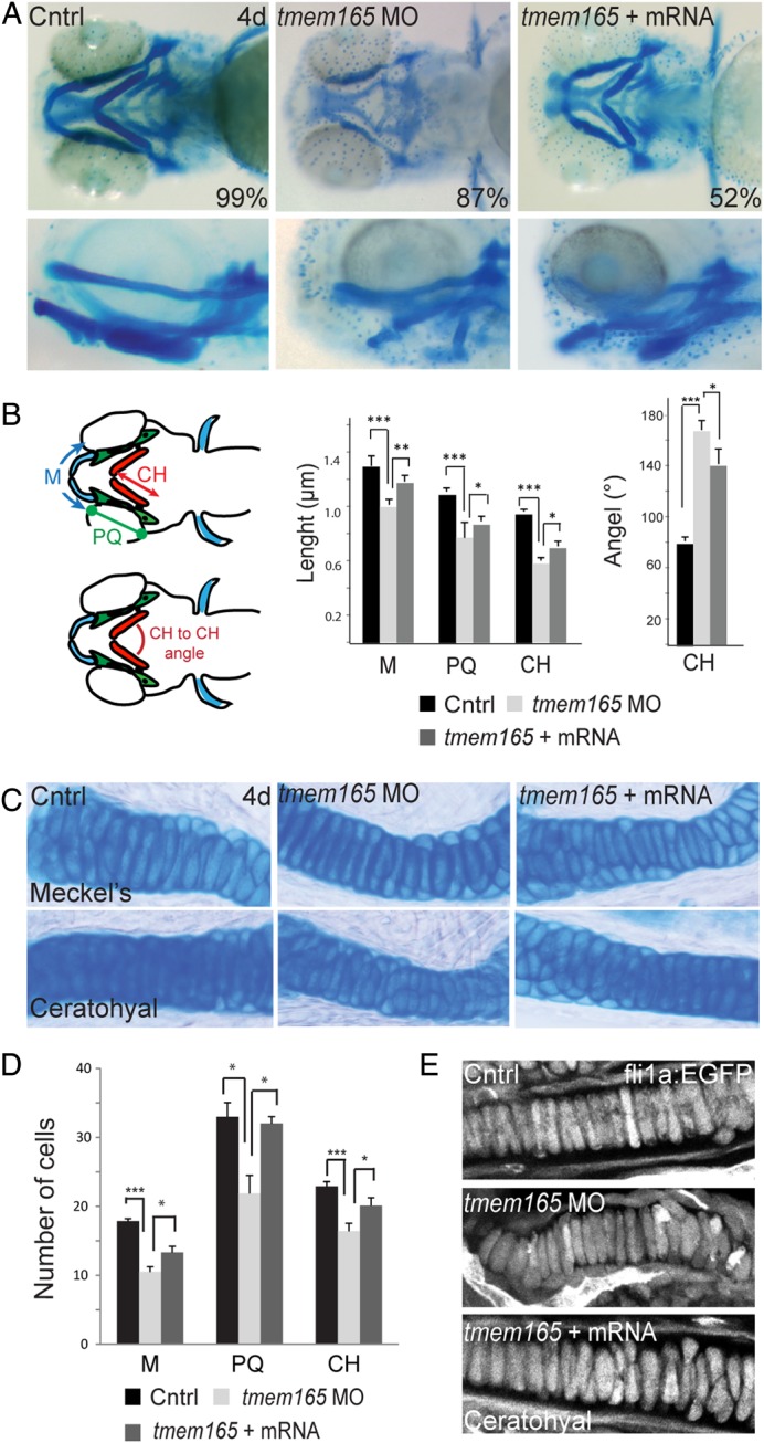 Fig. 4.