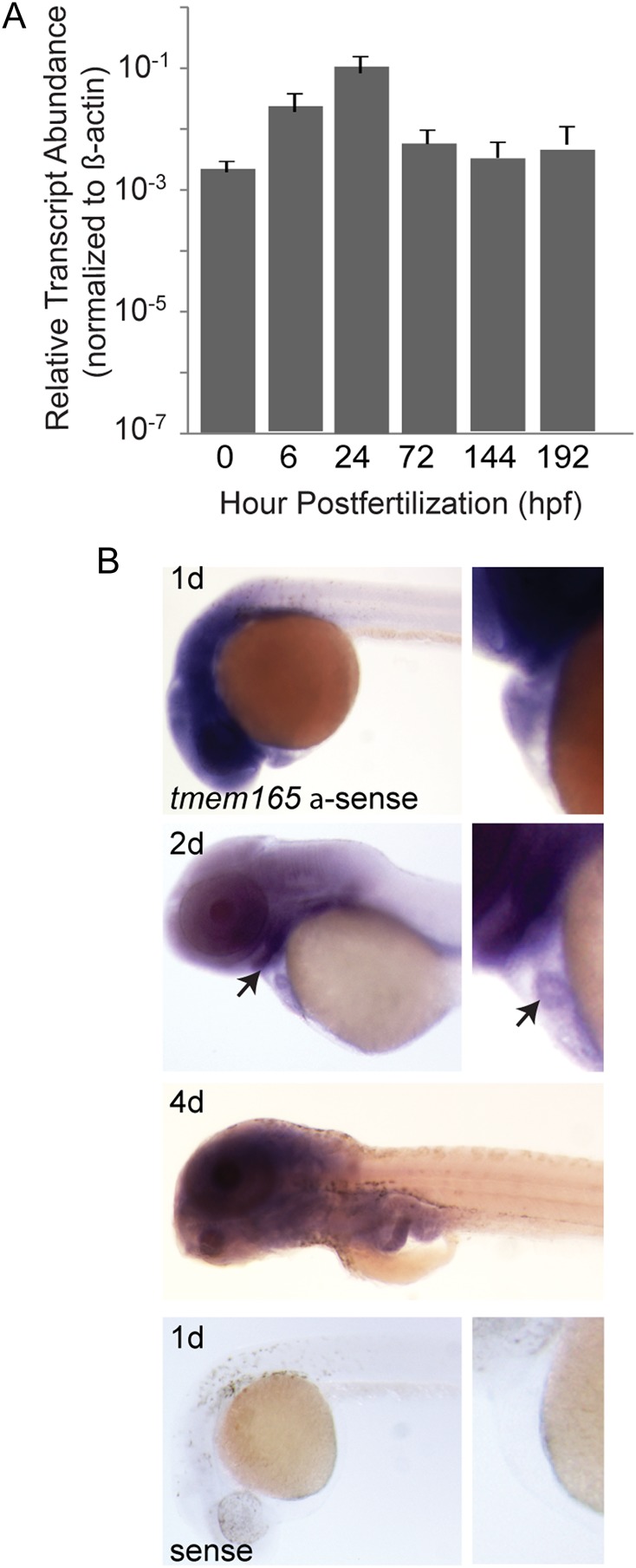 Fig. 2.