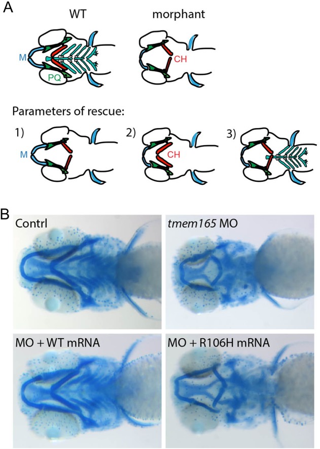 Fig. 7.