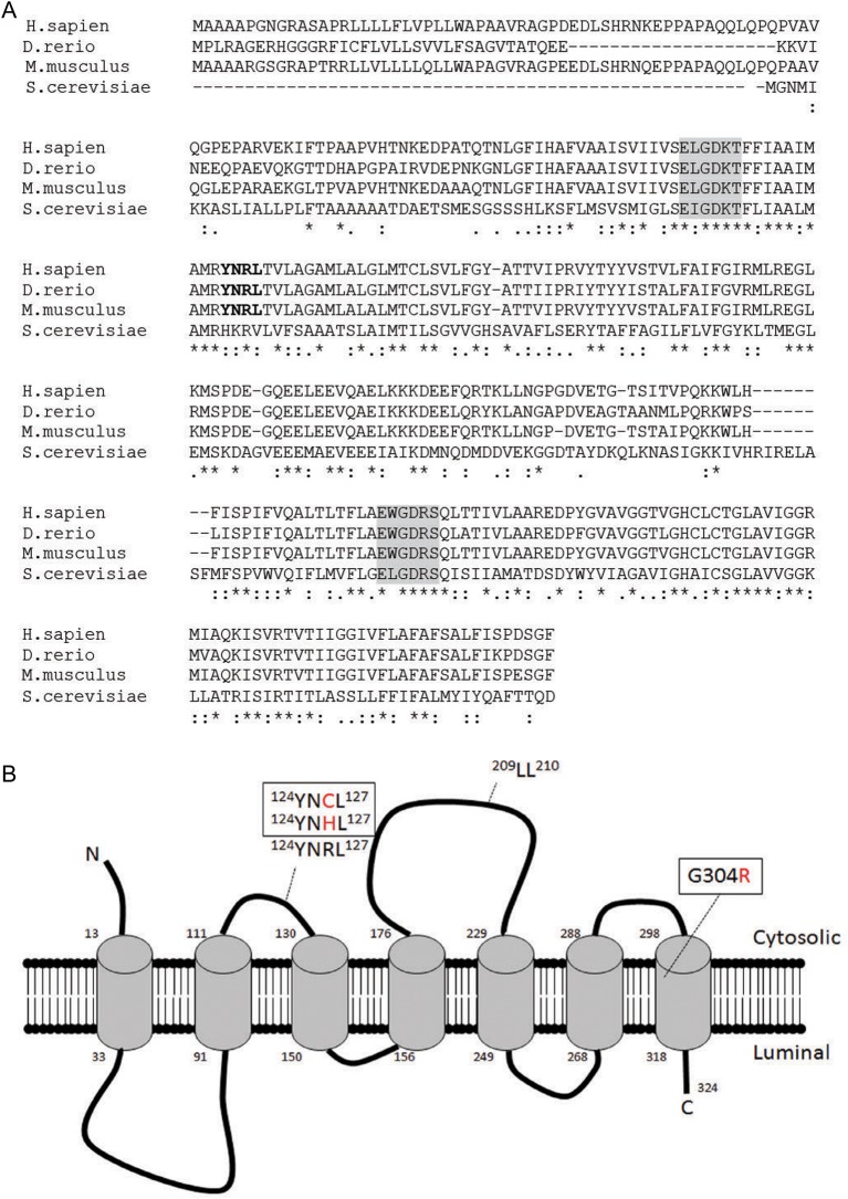 Fig. 1.