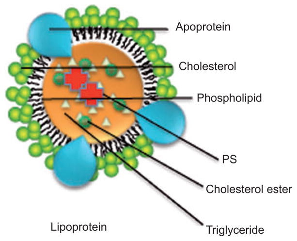 Figure 15