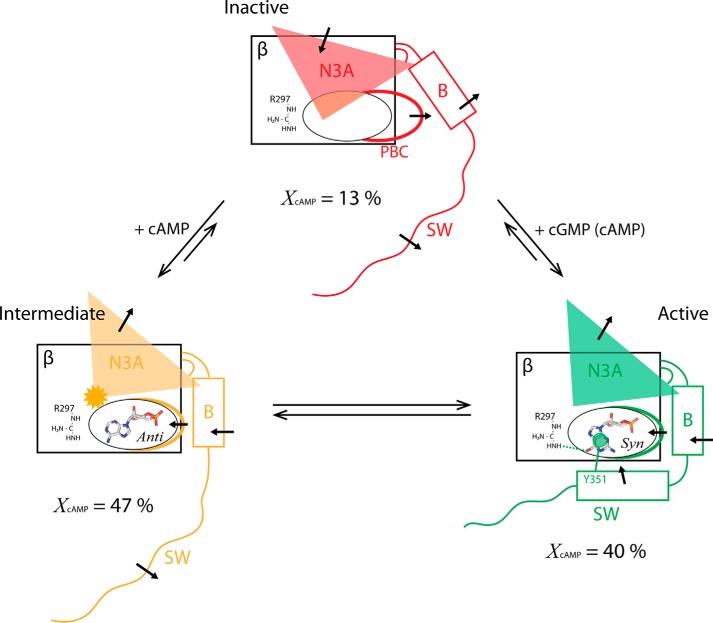 FIGURE 7.