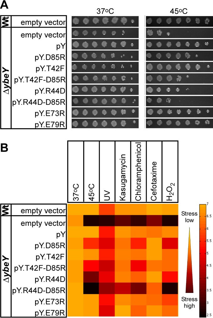 FIG 4 