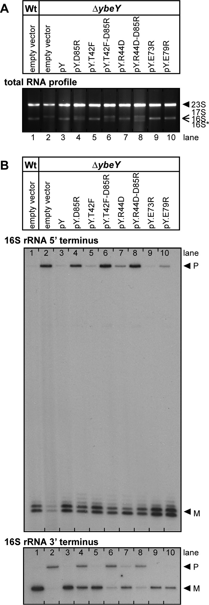 FIG 3 