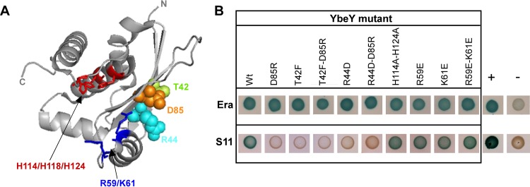 FIG 2 