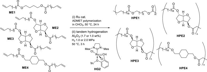 Scheme 4