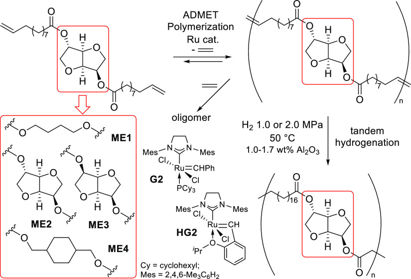 Scheme 5