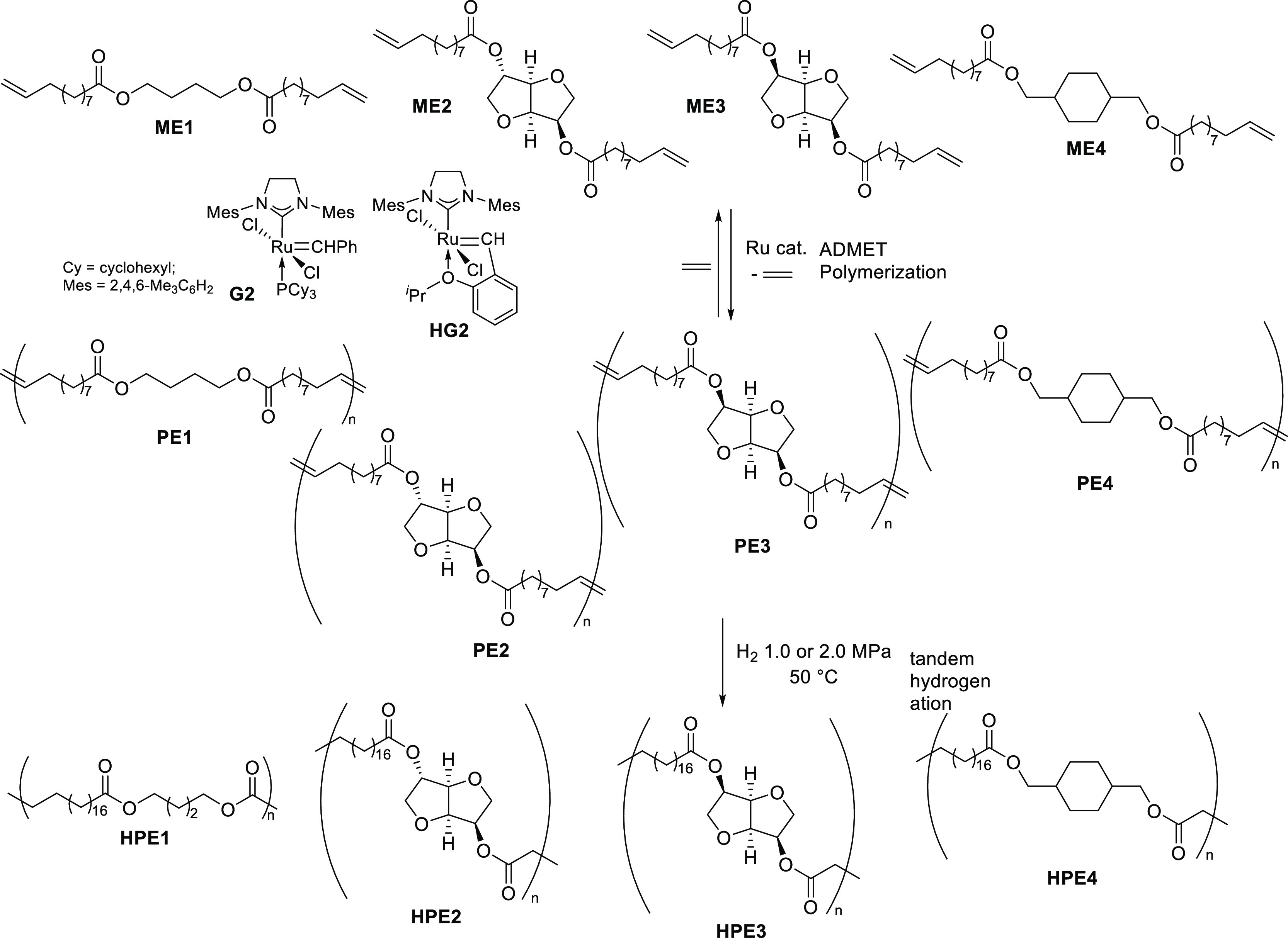 Scheme 2