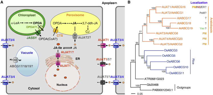 Figure 3