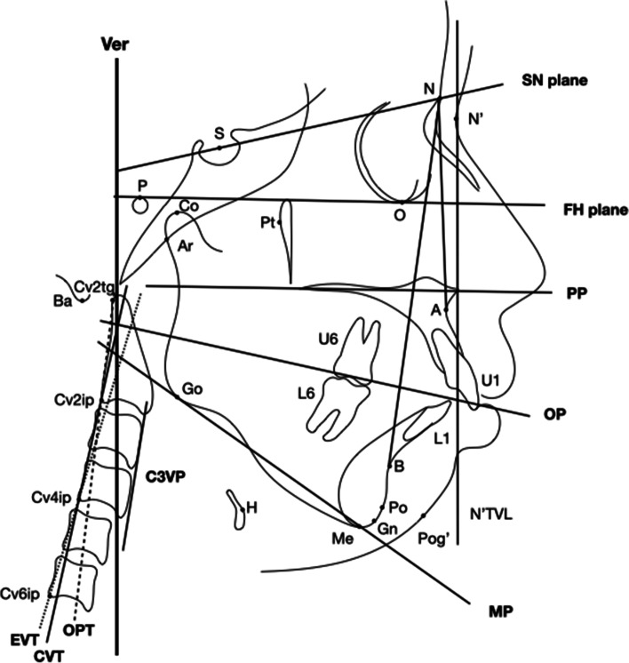 Fig. 1