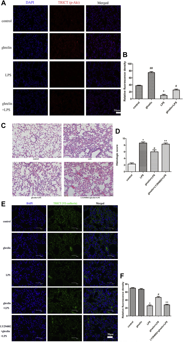 Figure 7