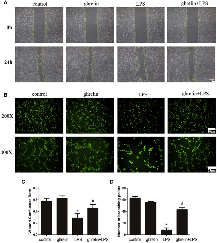 Figure 4