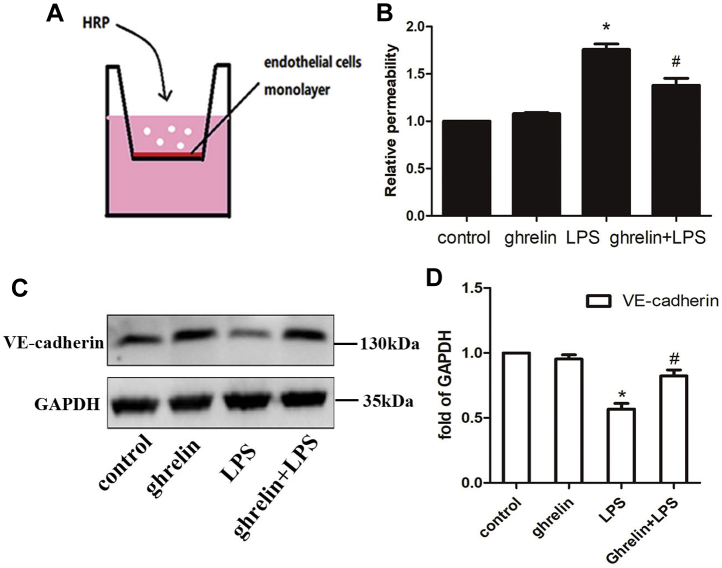 Figure 5