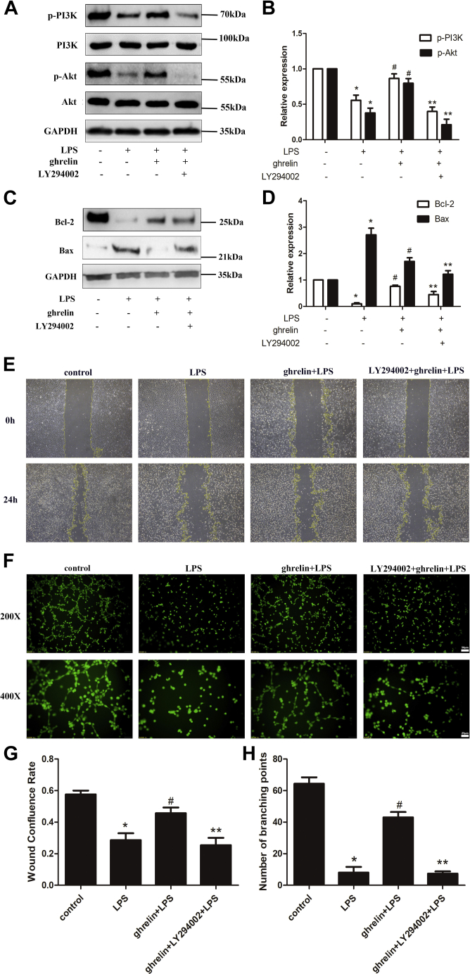 Figure 6