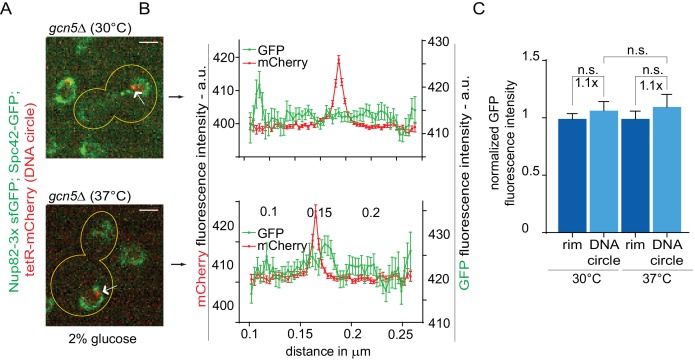 Figure 3—figure supplement 1.