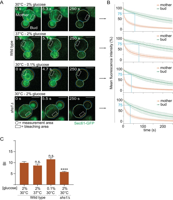 Figure 4—figure supplement 1.