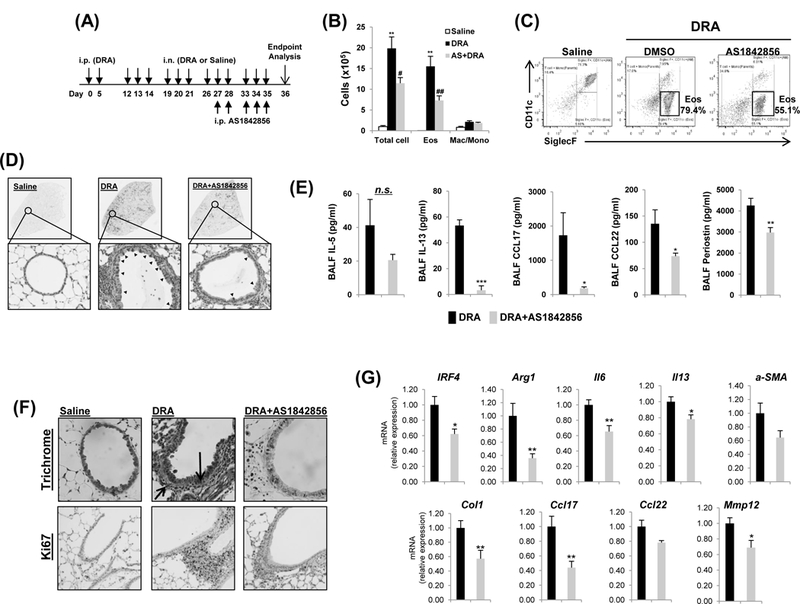 Fig.2.