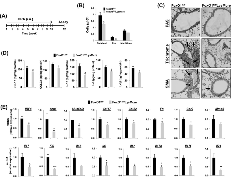 Fig.4.