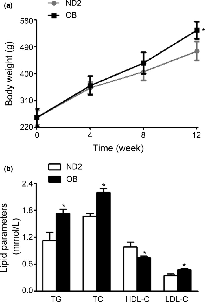 FIGURE 4