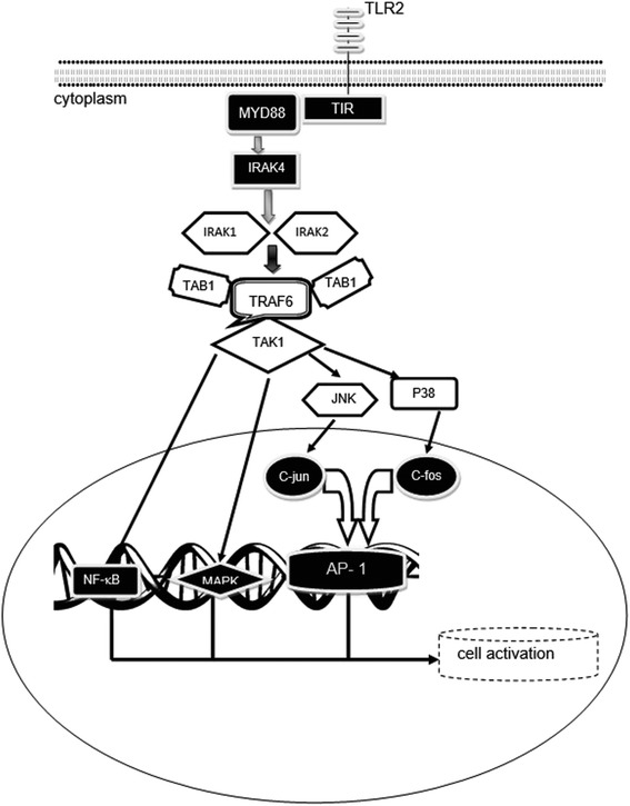 Fig. 2