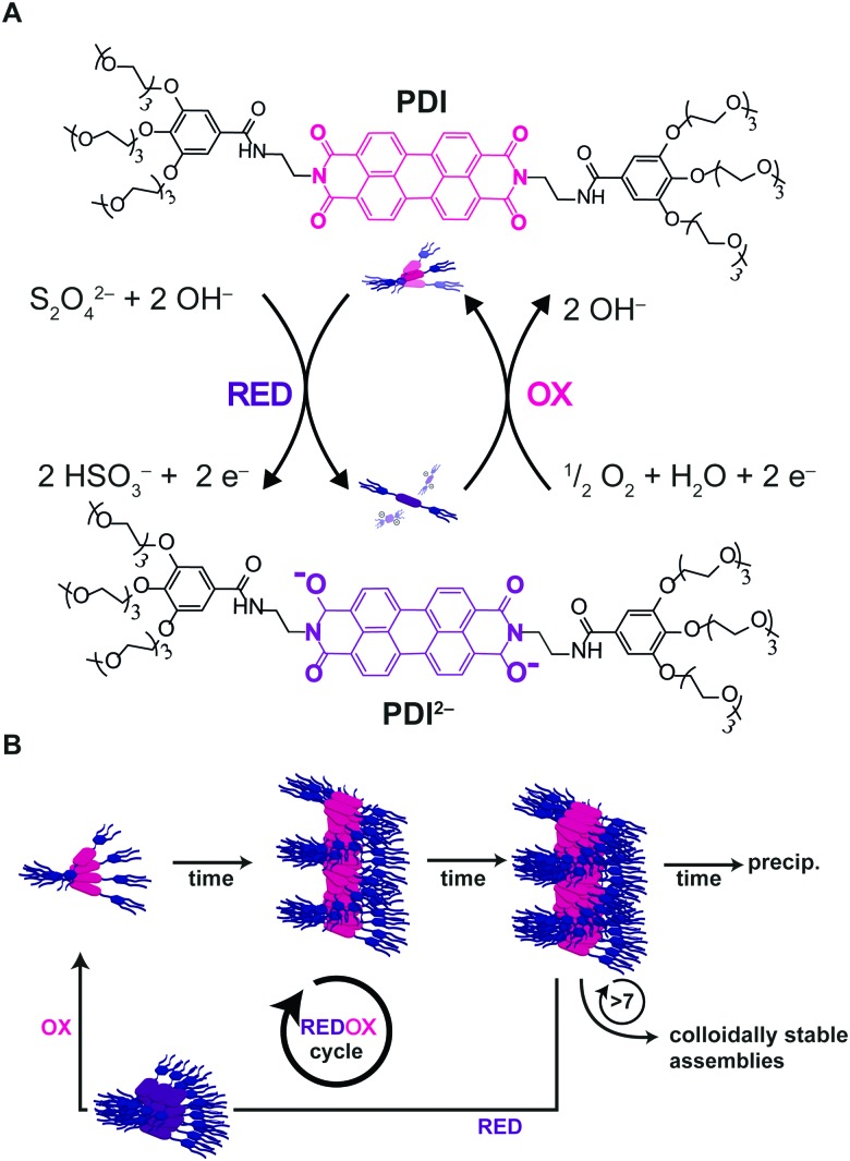 Fig. 12