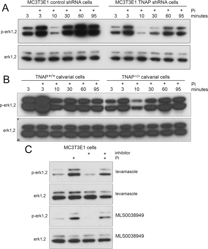 Fig. 3: