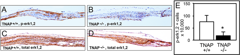 Fig. 4: