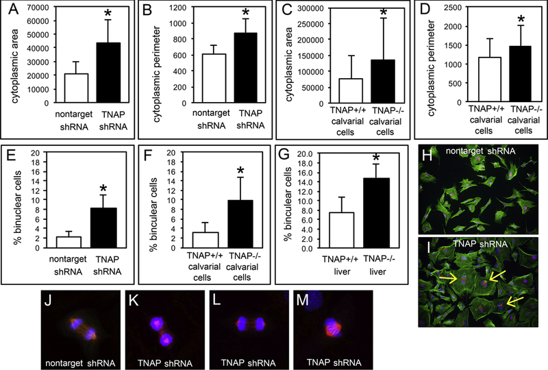 Fig. 2: