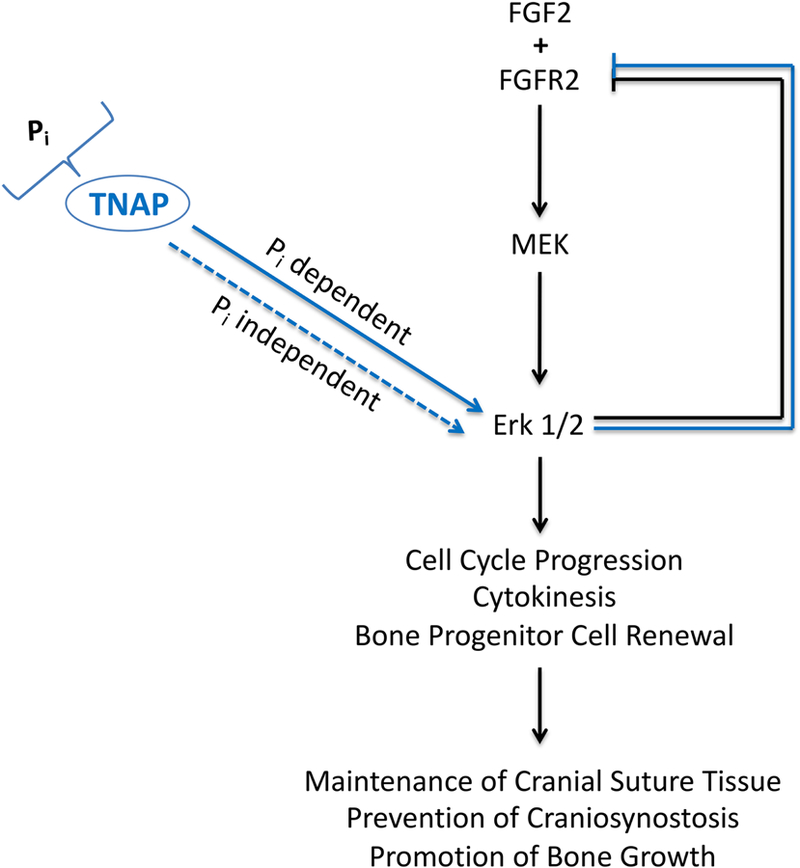 Fig. 8: