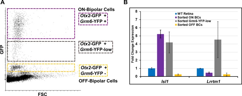 Figure 1—figure supplement 2.