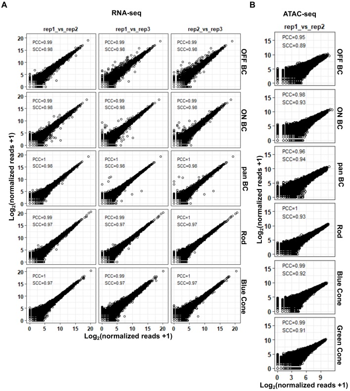 Figure 1—figure supplement 1.