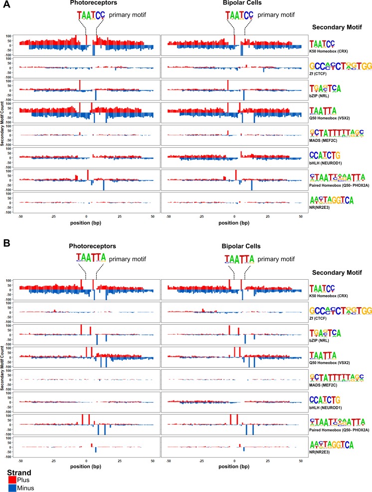 Figure 4—figure supplement 2.