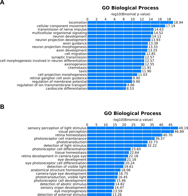 Figure 5—figure supplement 2.