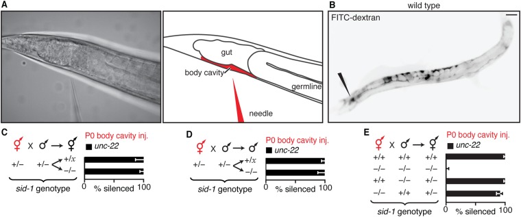 Fig. S9.