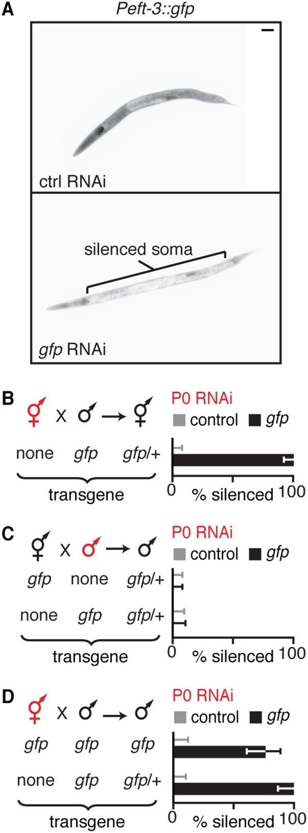 Fig. S5.