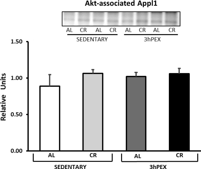 Fig. 11.