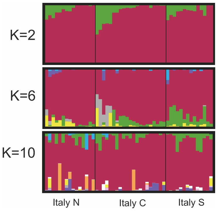 Figure 6