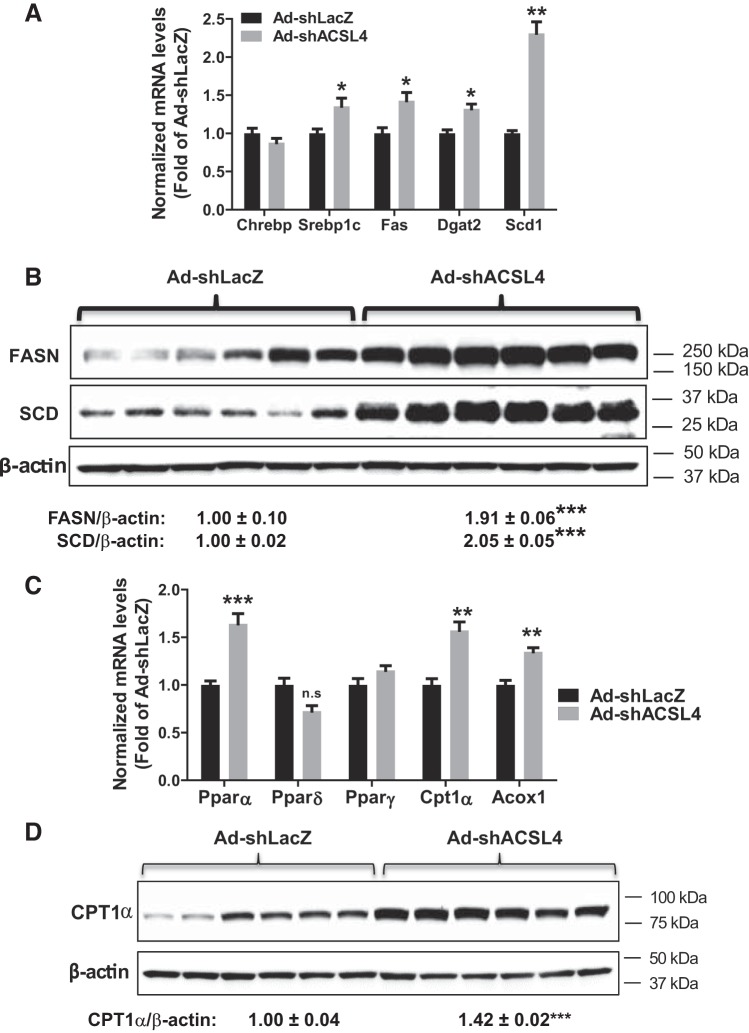 Fig. 9.