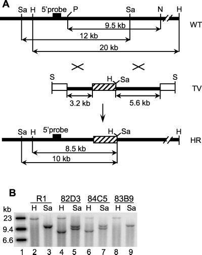 FIG. 1.