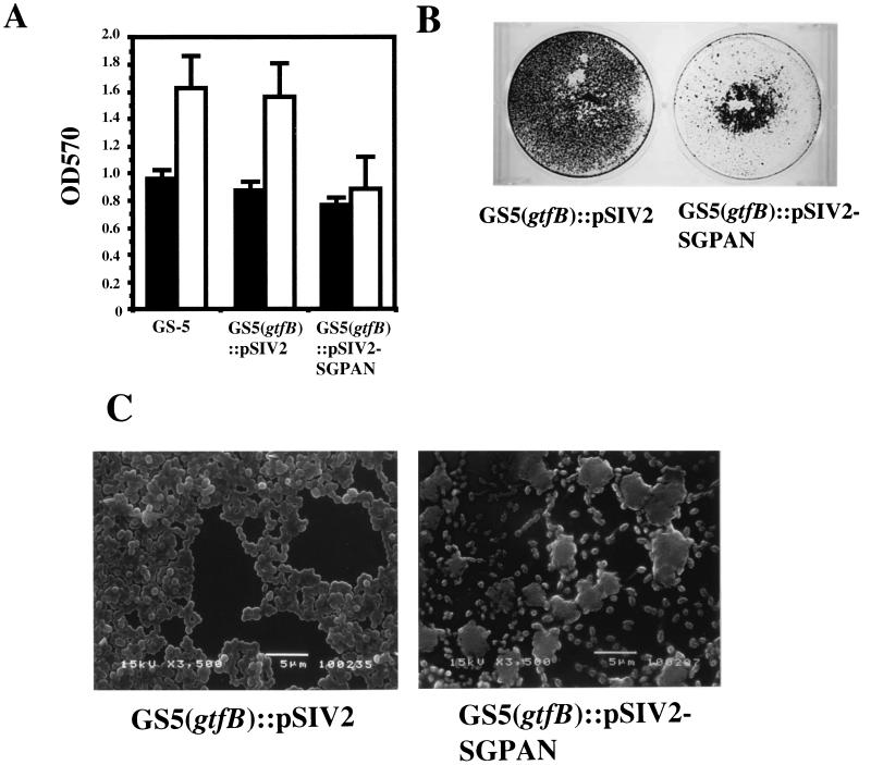 FIG. 5.