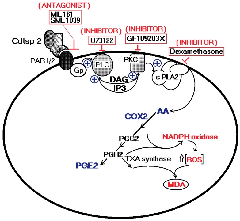 Figure 6