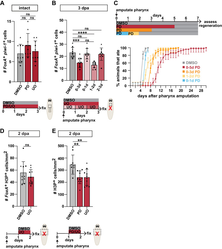 Figure 5—figure supplement 3.