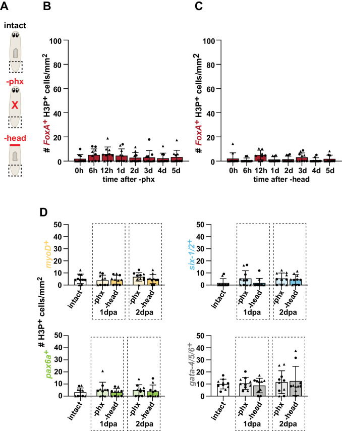 Figure 3—figure supplement 3.