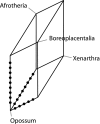 F<sc>IG</sc>. 6.